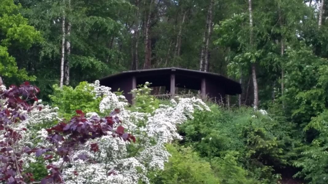 Hütte auf der Birkenhöhe umringt von Bäumen und Blumen